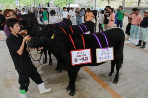 川薩畜産共進会（ＨＰ）